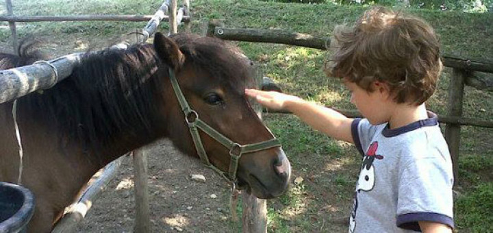 Nicolò e Pepita