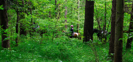 Parco della Martina - Monghidoro