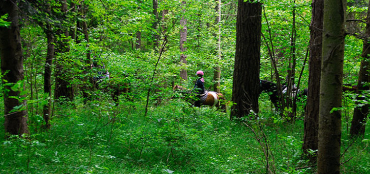 Parco della Martina - Monghidoro